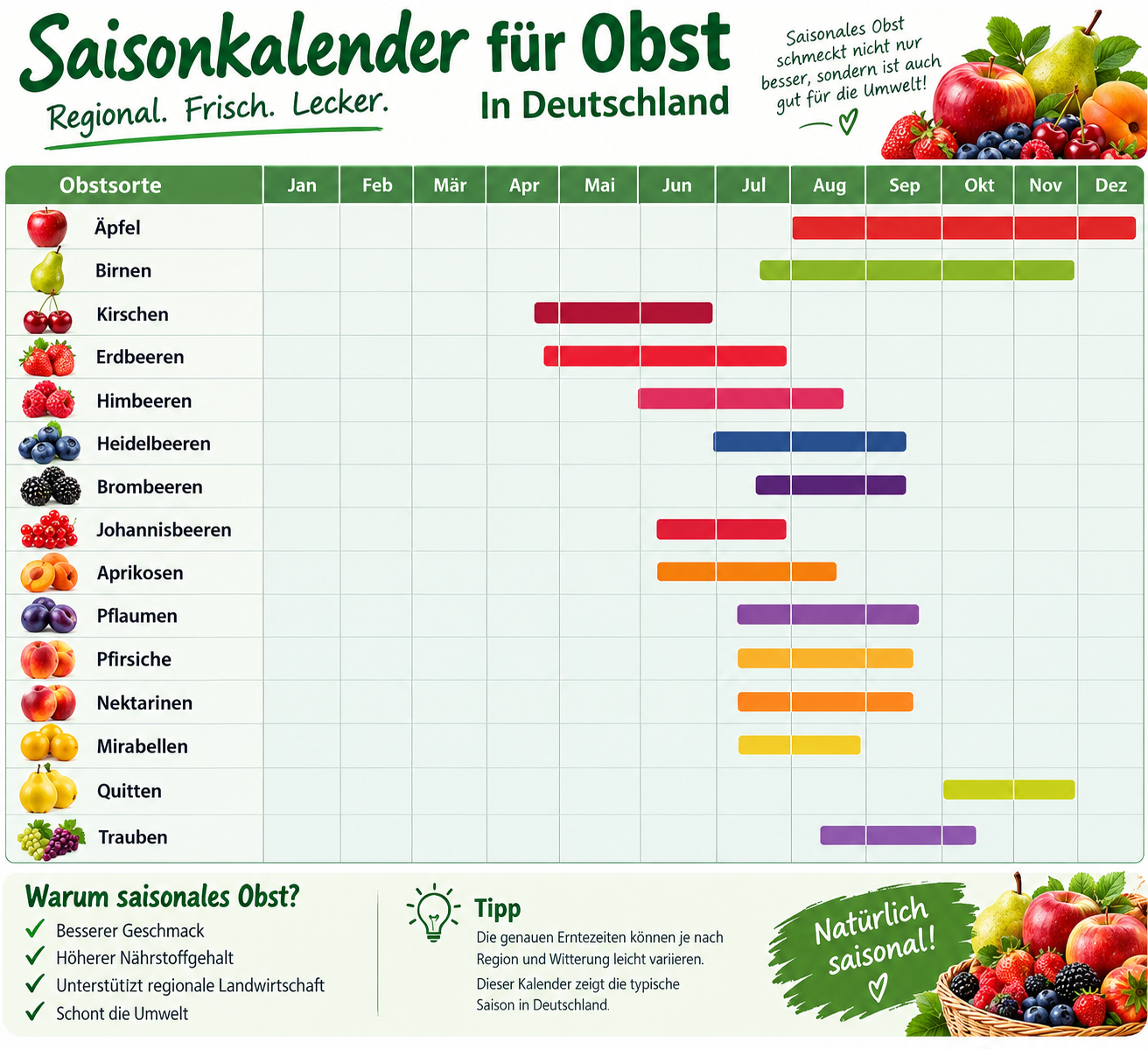 Saisonkalender für Obst in Deutschland